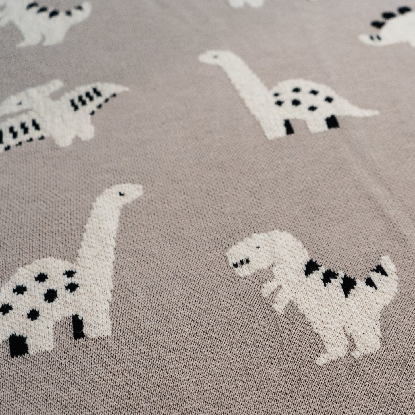 Dylan Dinosaur Baby Blanket
