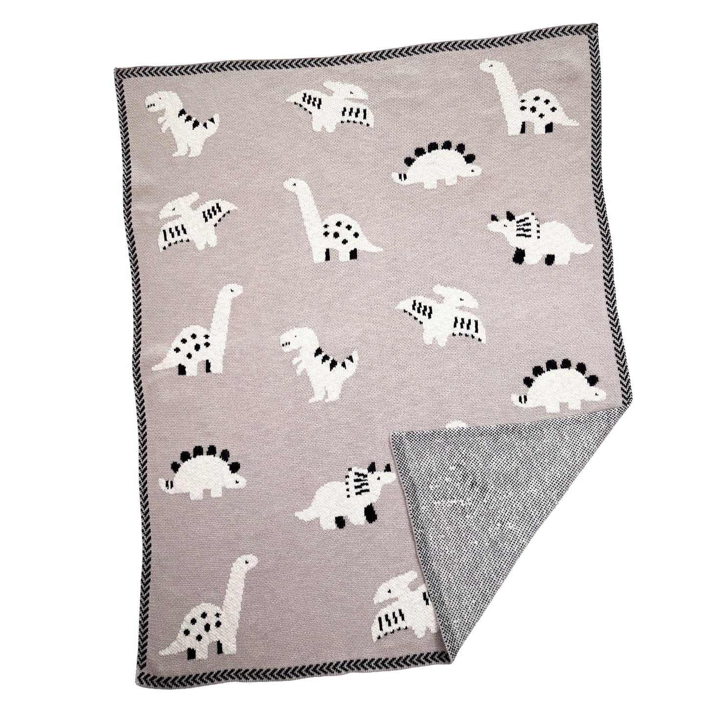 Dylan Dinosaur Baby Blanket
