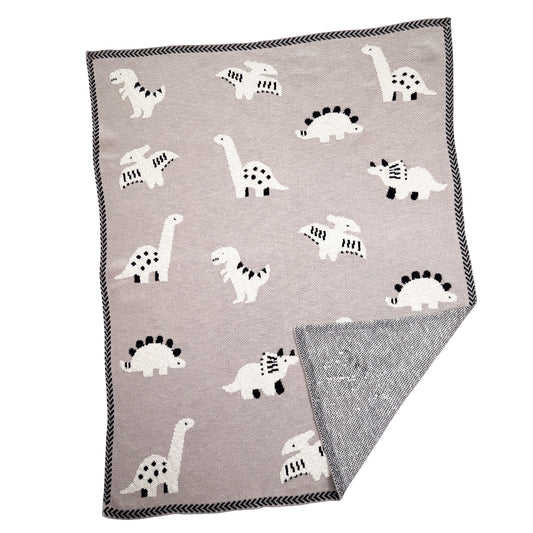 Dylan Dinosaur Baby Blanket