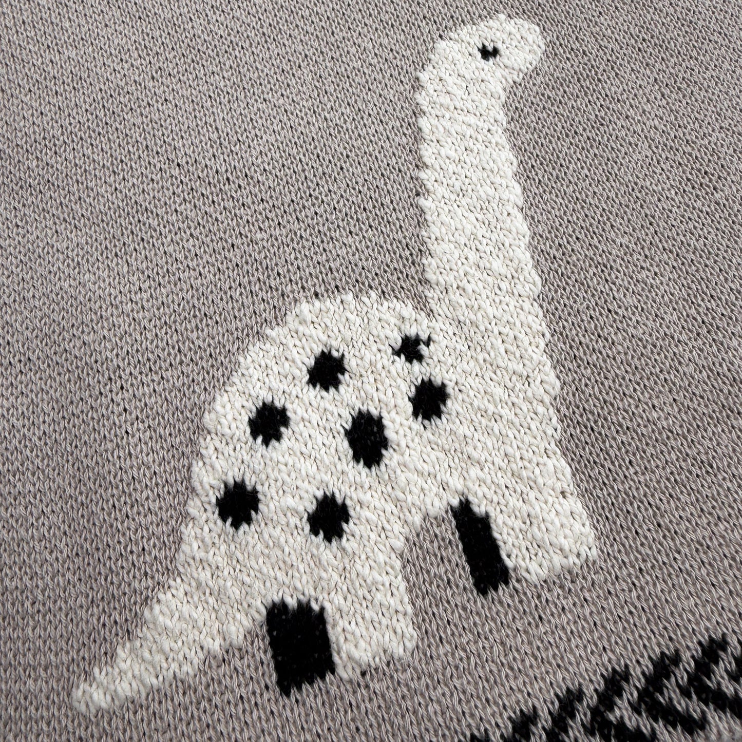 Dylan Dinosaur Baby Blanket
