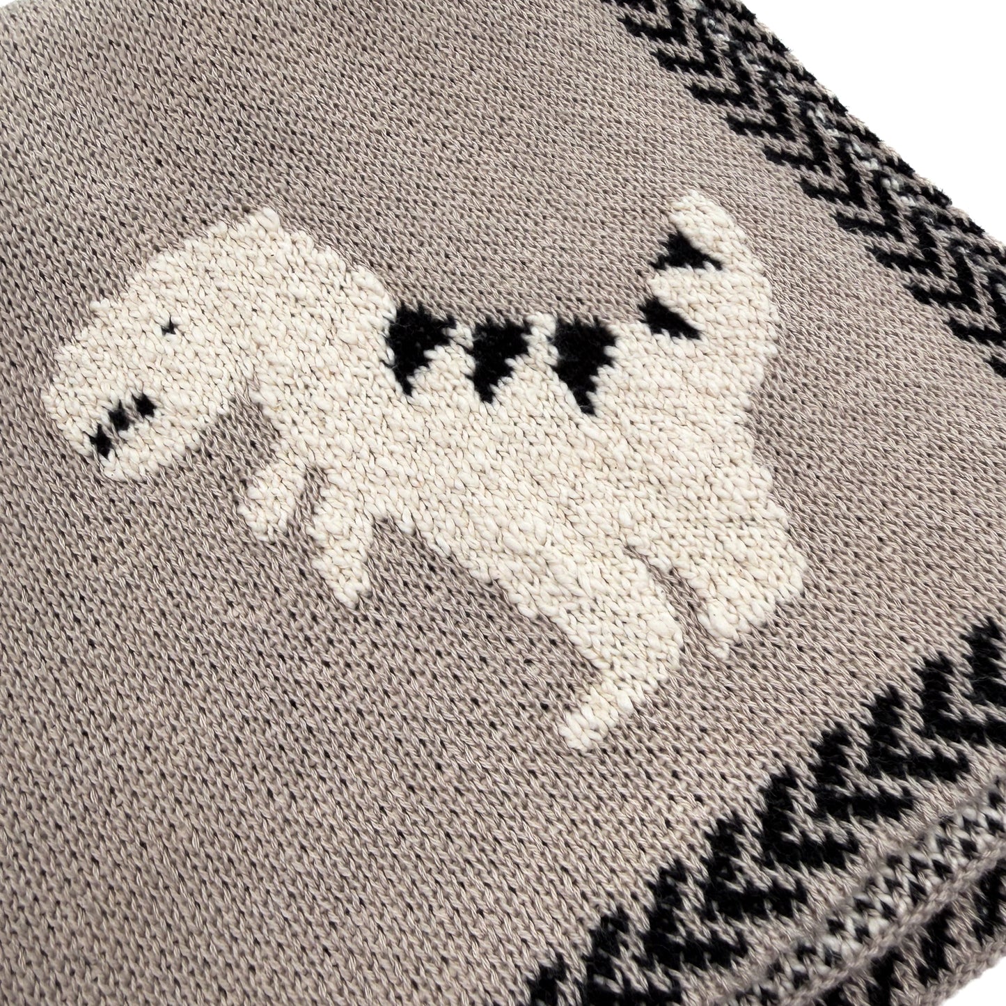 Dylan Dinosaur Baby Blanket